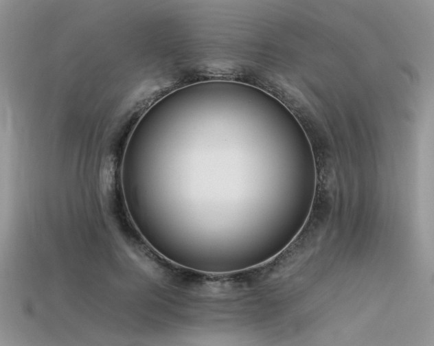 X0000113540744200909181157