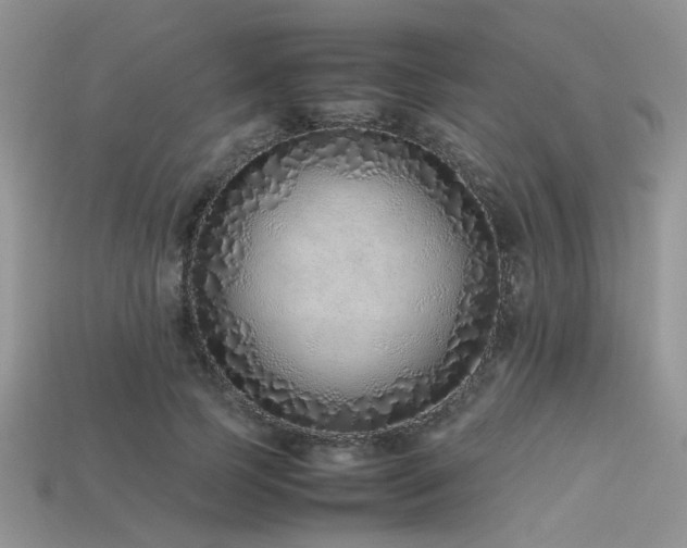 X0000113540745200909181157