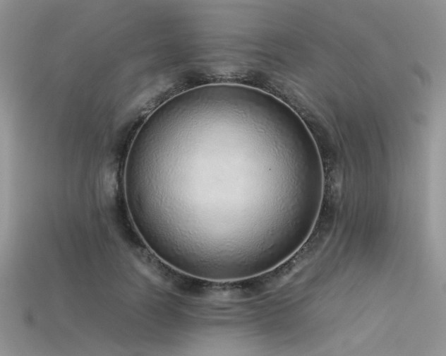 X0000113540746200909181157