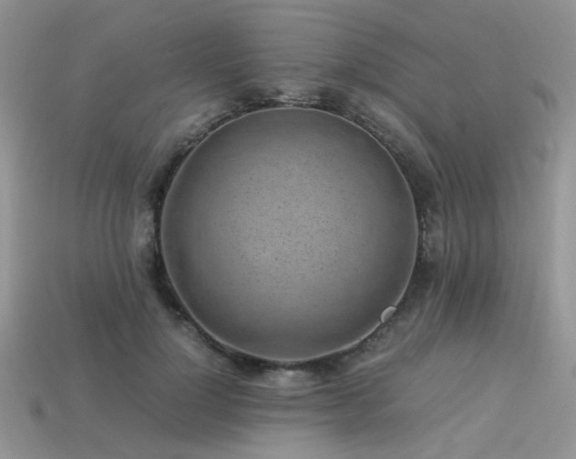 X0000113540748200909181157
