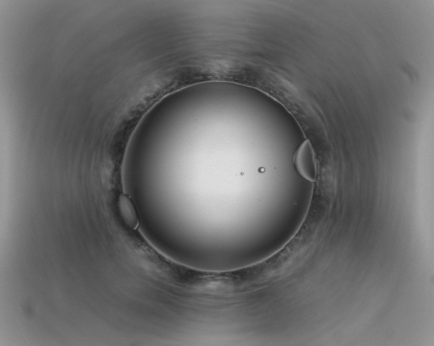 X0000113540750200909181157
