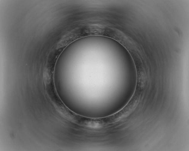 X0000113540751200909181157