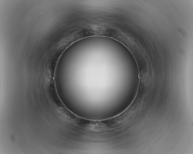 X0000113540752200909181157