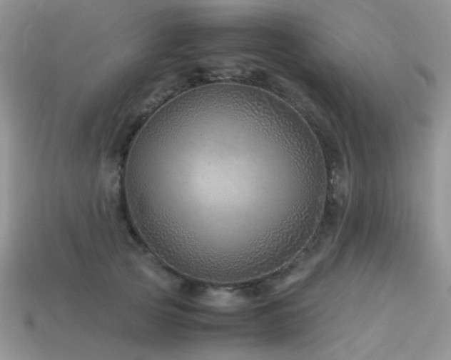 X0000113540753200909181157