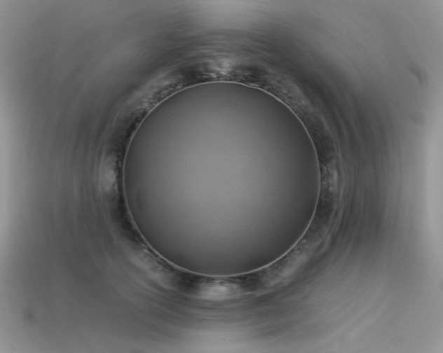 X0000113540754200909181157