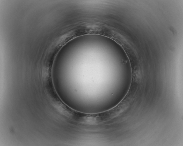 X0000113540756200909181157