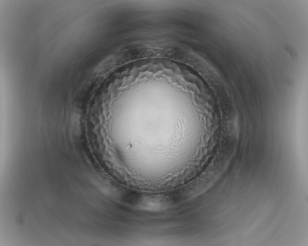 X0000113540757200909181157