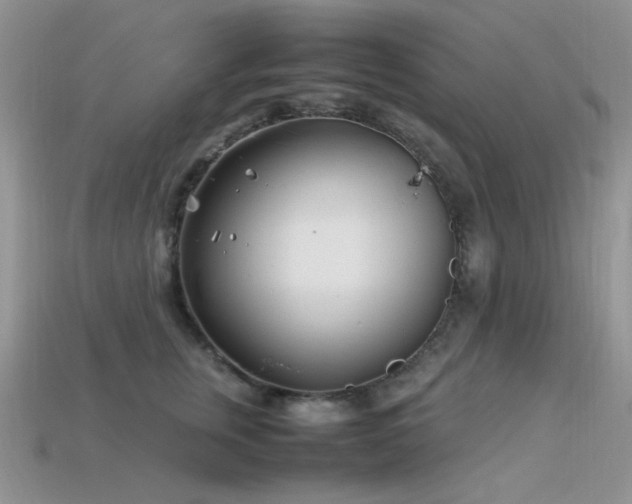 X0000113540759200909181157