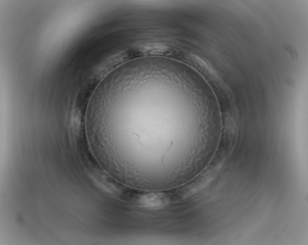 X0000113540761200909181157