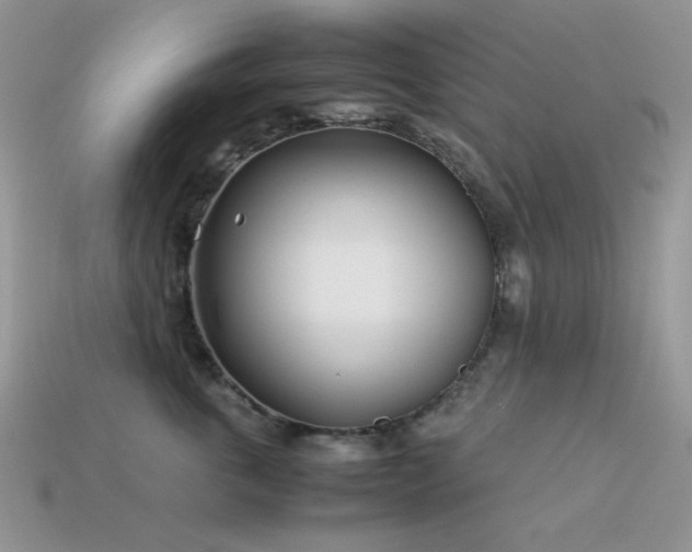 X0000113540763200909181157