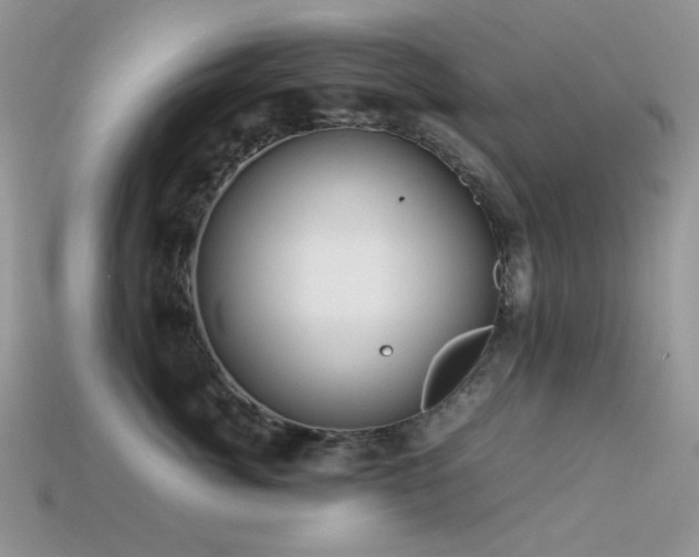 X0000113540764200909181157