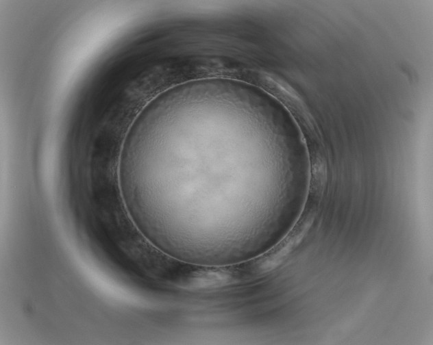 X0000113540765200909181157
