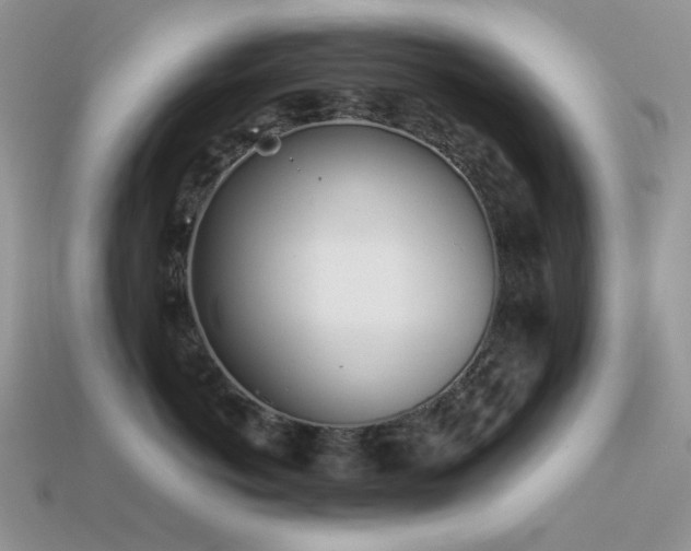 X0000113540766200909181157