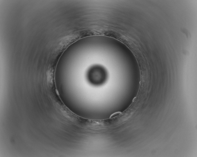 X0000113540768200909181157
