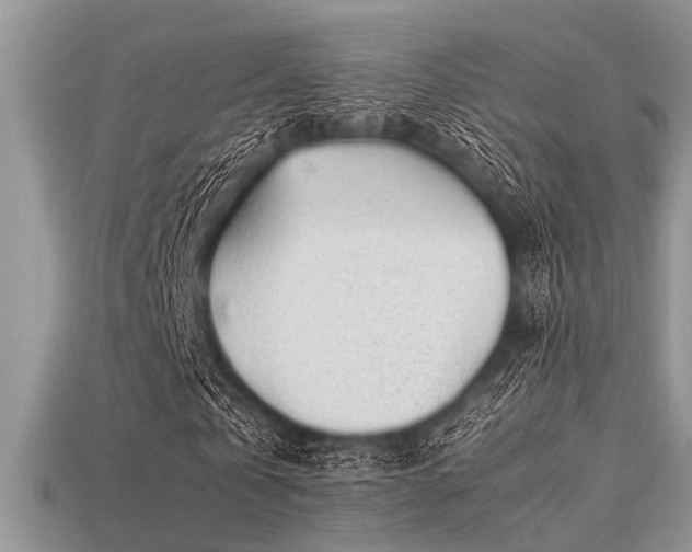 X0000113540769200909181156