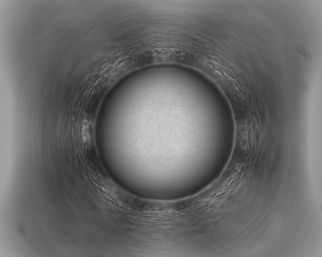 X0000113540770200909181156