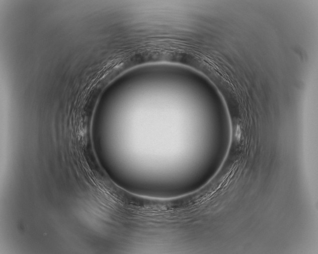 X0000113540771200909181156