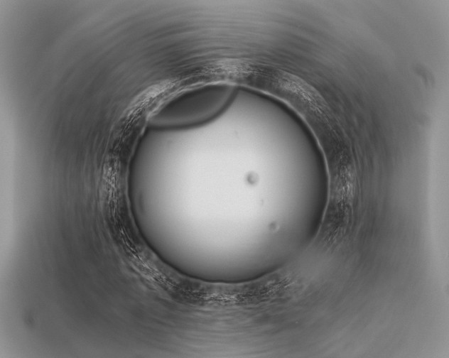 X0000113540773200909181156
