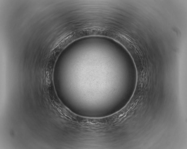 X0000113540774200909181156