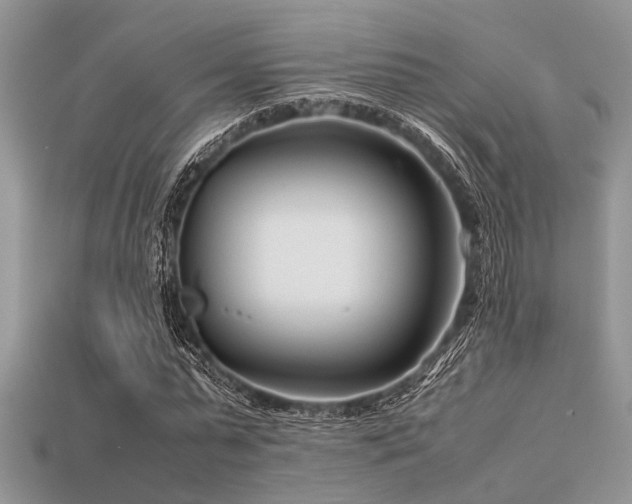 X0000113540775200909181156