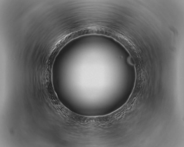 X0000113540776200909181156
