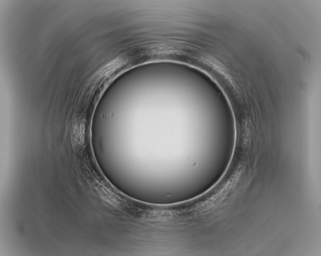 X0000113540777200909181156