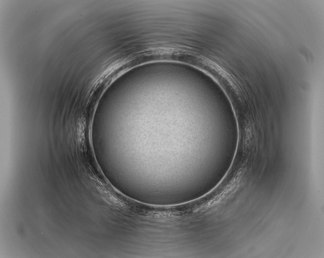 X0000113540778200909181156