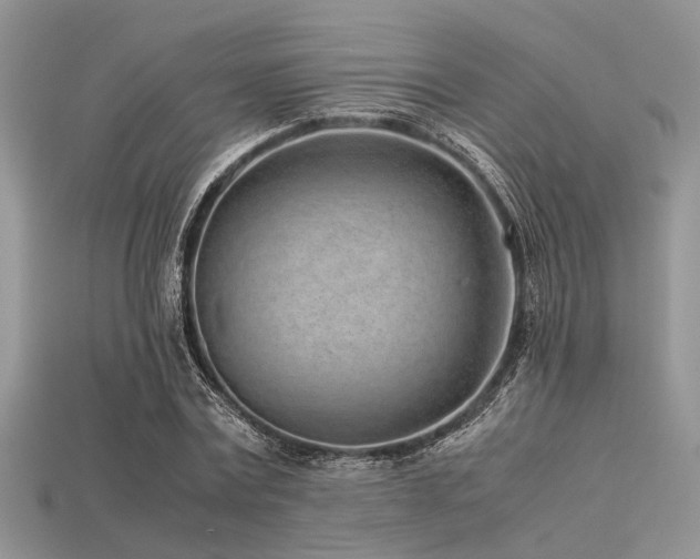 X0000113540779200909181156