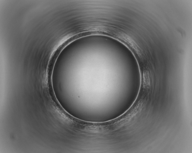 X0000113540780200909181156