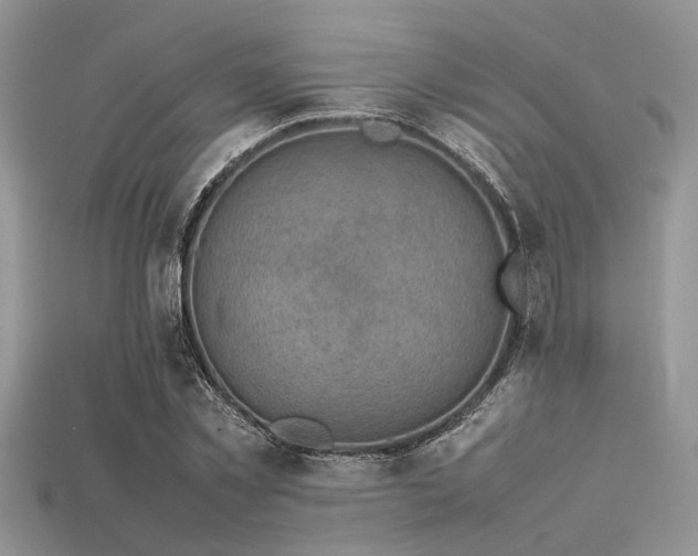 X0000113540781200909181156