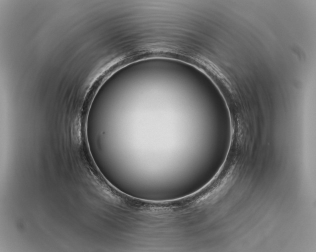 X0000113540782200909181156