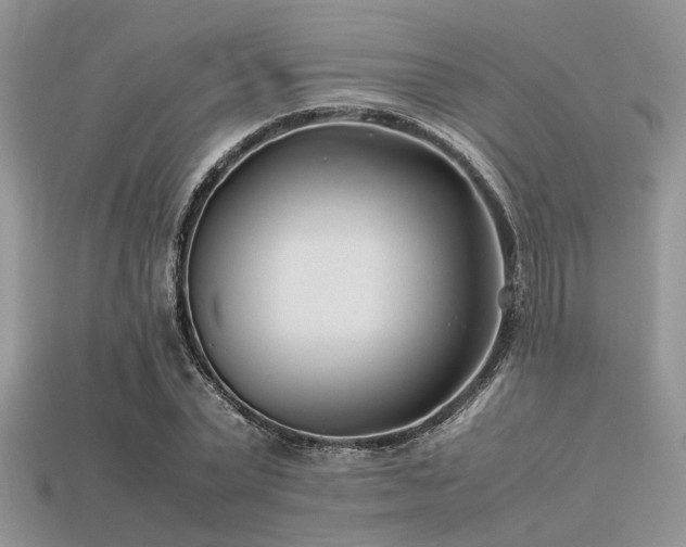 X0000113540783200909181156