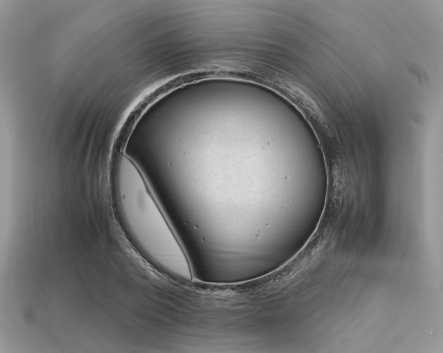 X0000113540784200909181156