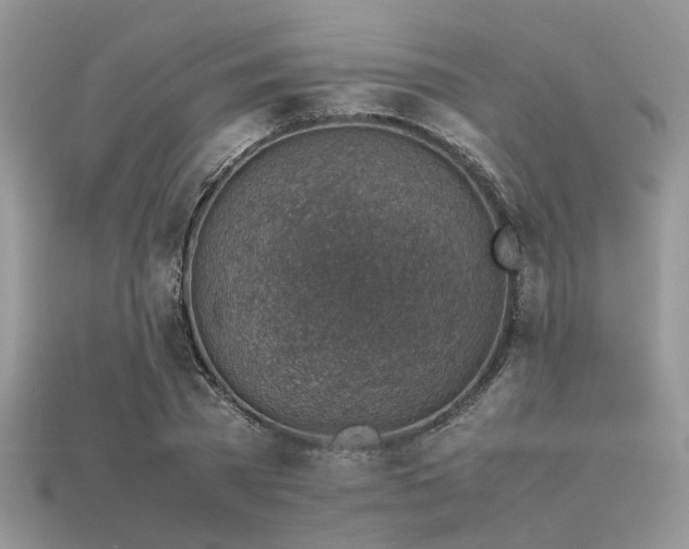 X0000113540785200909181156