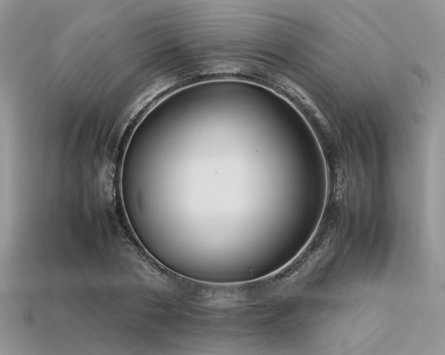X0000113540786200909181156