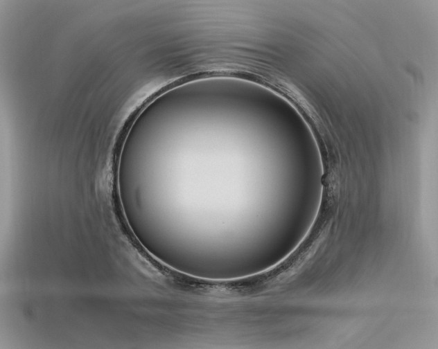 X0000113540787200909181156