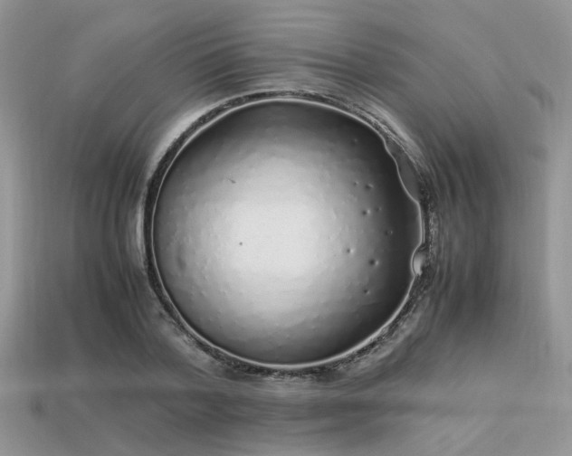 X0000113540788200909181156
