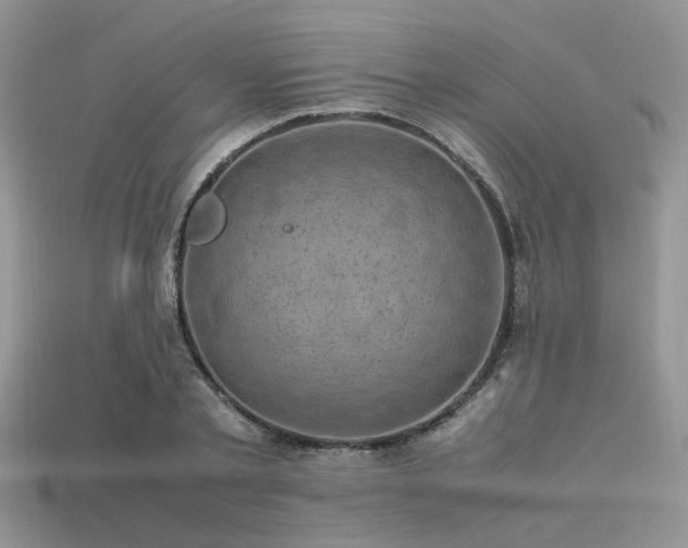 X0000113540789200909181156