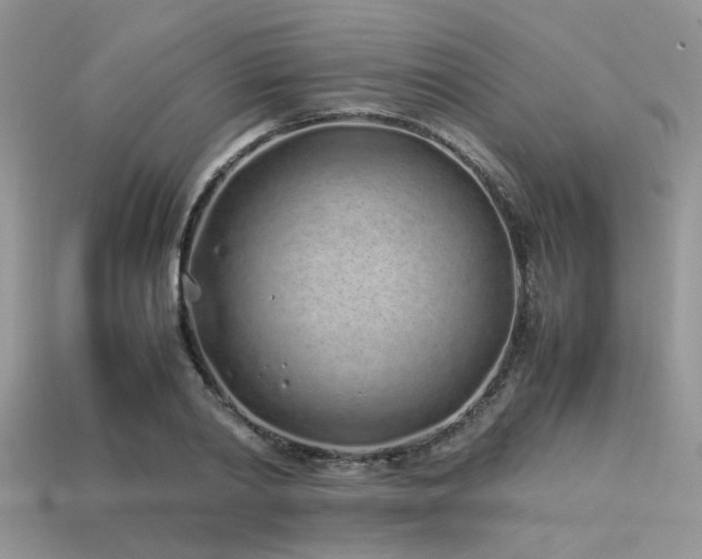 X0000113540790200909181156