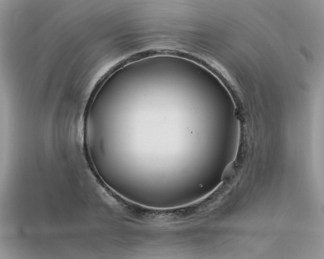 X0000113540791200909181156