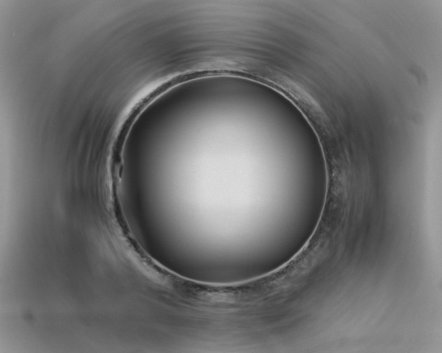 X0000113540792200909181156