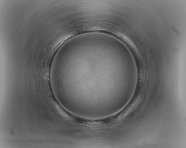 X0000113540793200909181156
