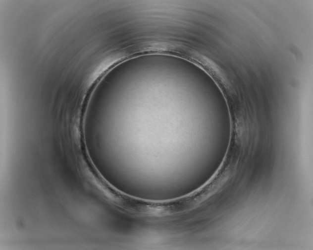 X0000113540794200909181156