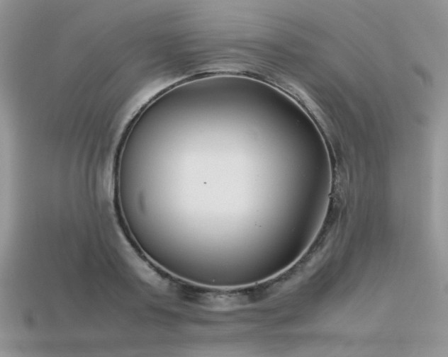 X0000113540795200909181156