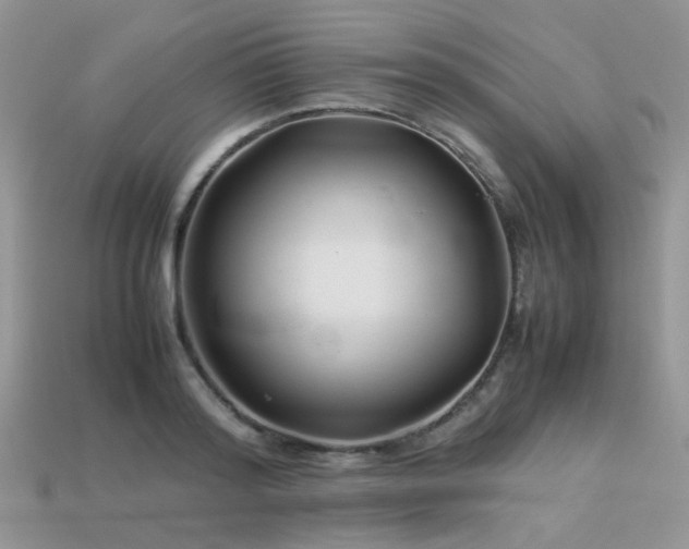 X0000113540796200909181156