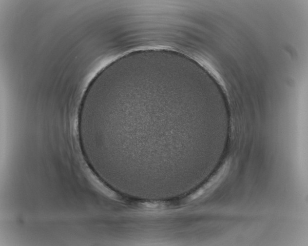 X0000113540797200909181156