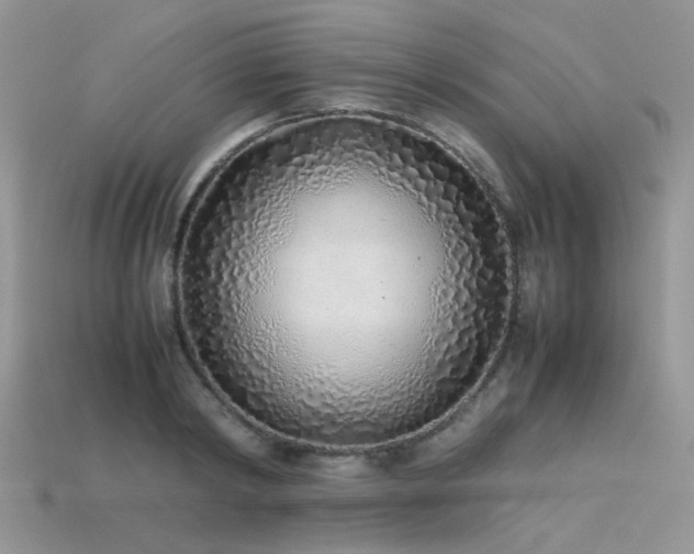 X0000113540798200909181156