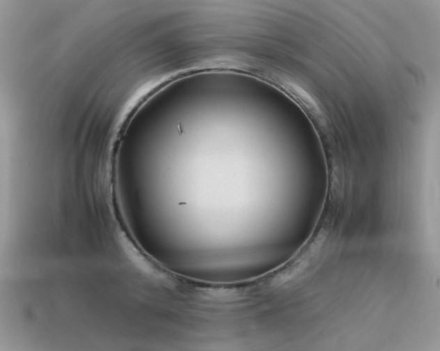 X0000113540800200909181156