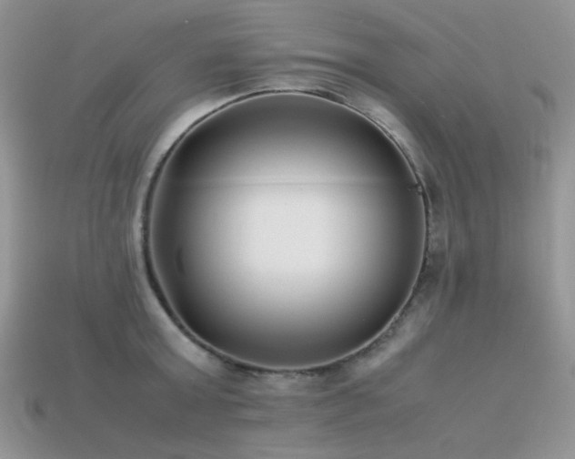 X0000113540803200909181156