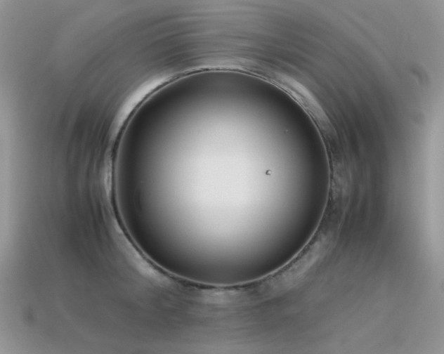 X0000113540804200909181156